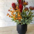 Artificial - Red Banksia, Orange Leucodendron, Gum