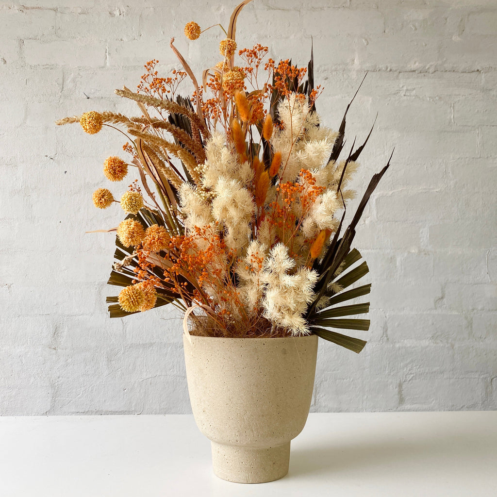 Dried & Preserved Design - Sunny