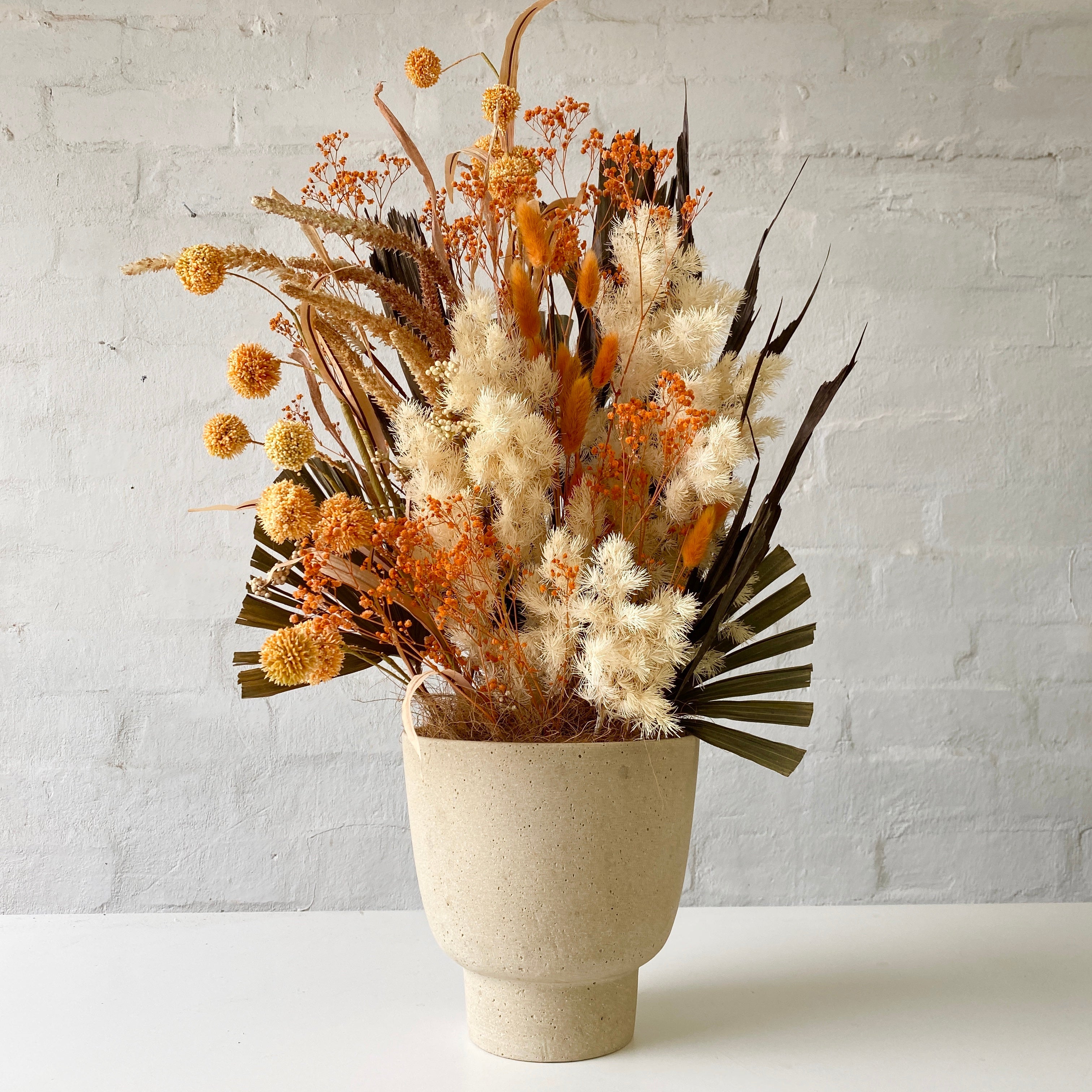 Dried & Preserved Design - Sunny